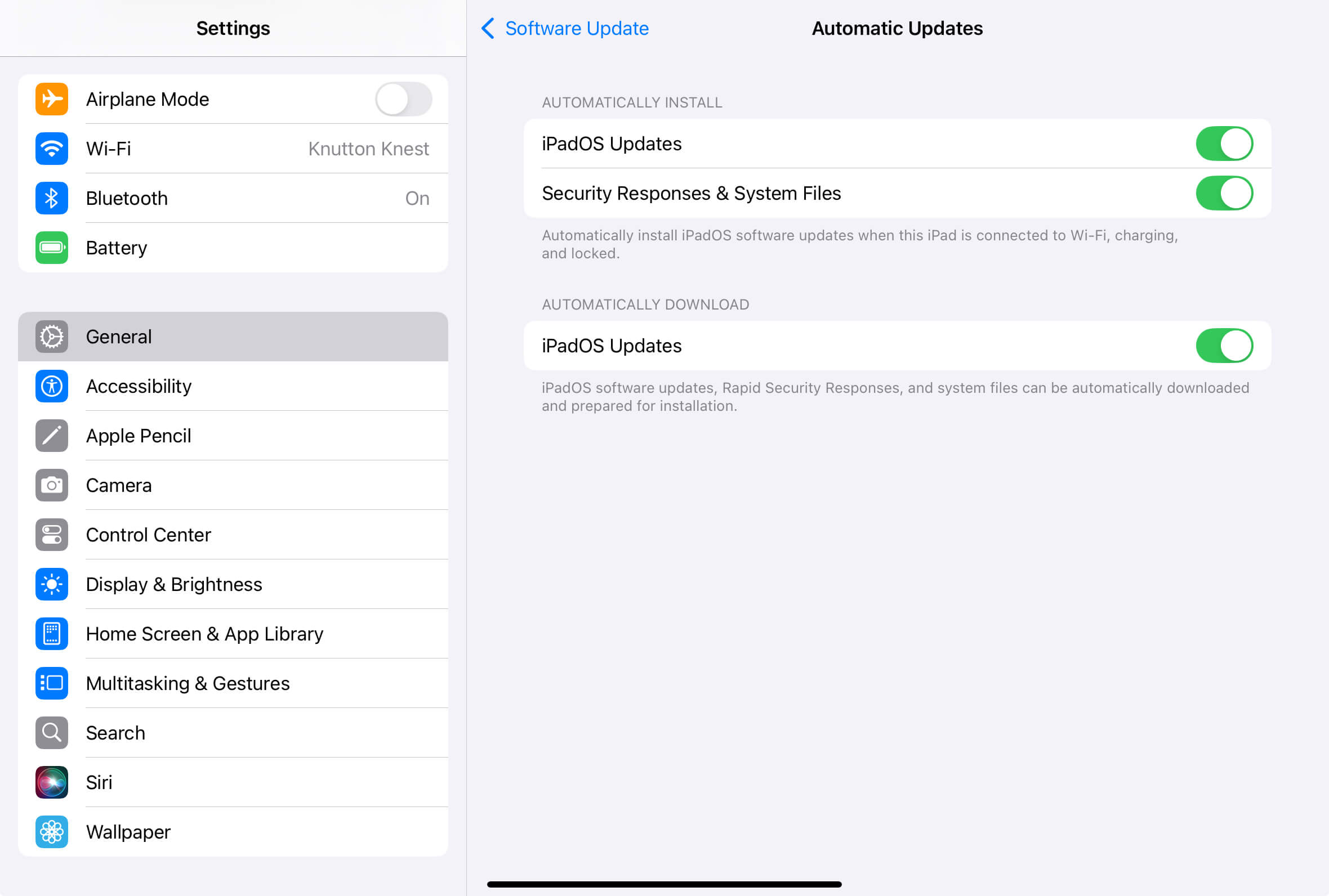 All options in the Automatic Updates screen toggled on